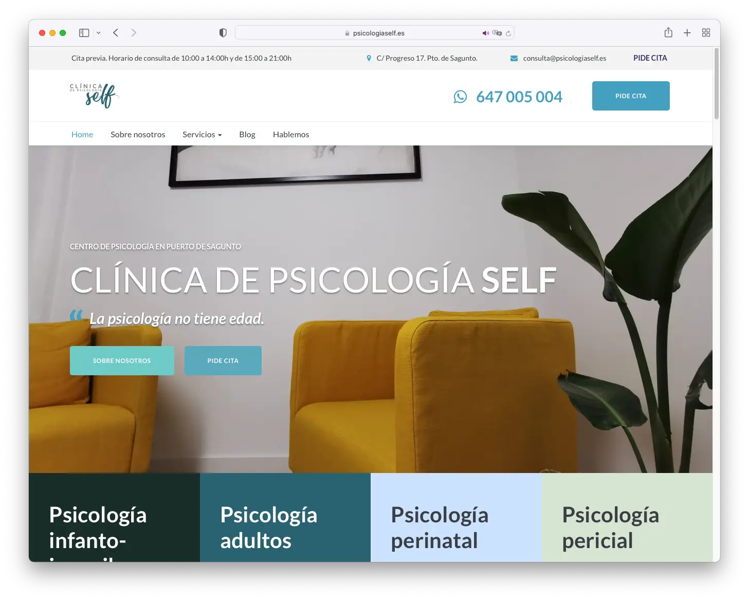 clinica psicologia self